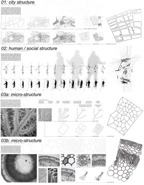 12_process1b.jpg