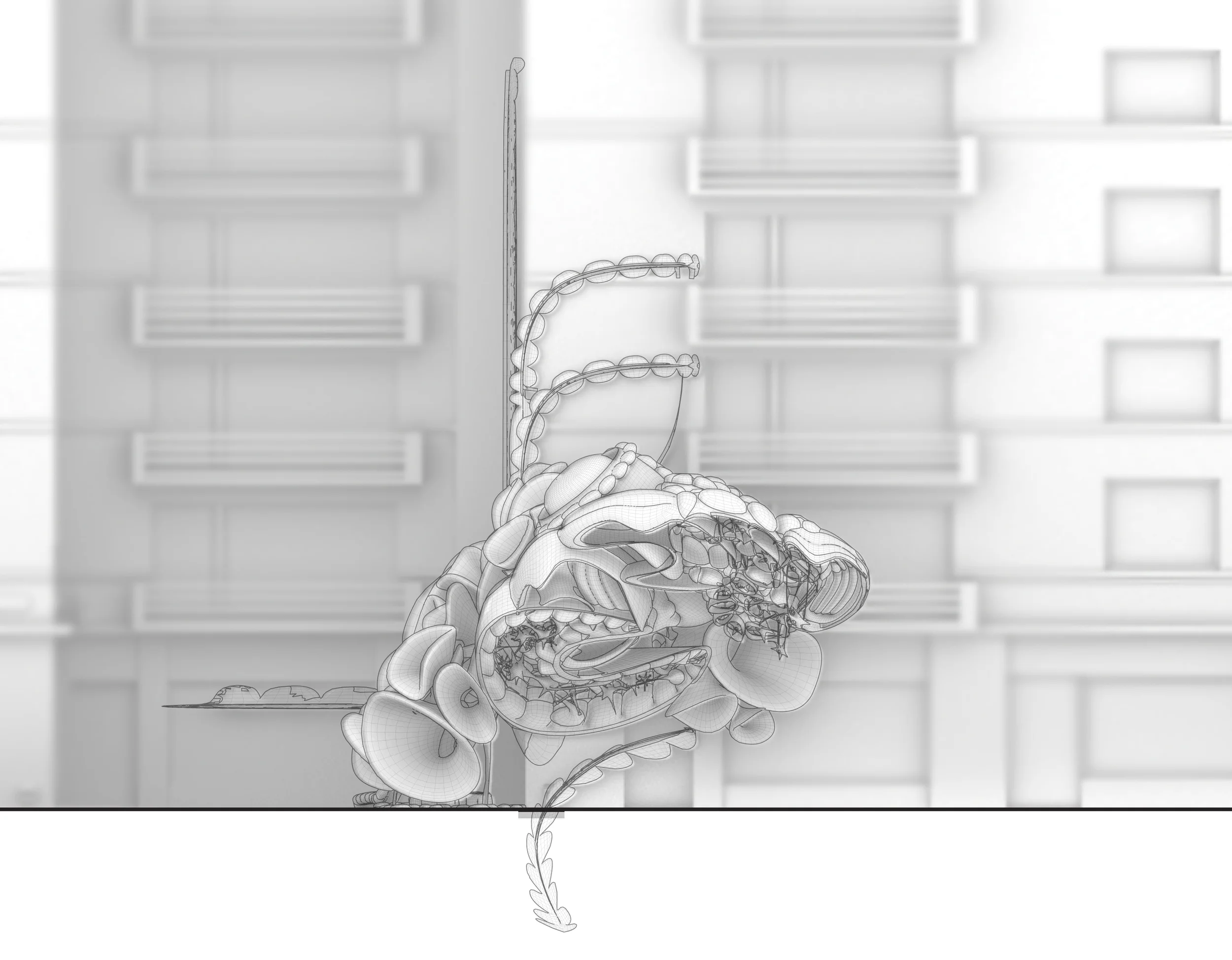 6_section.jpg