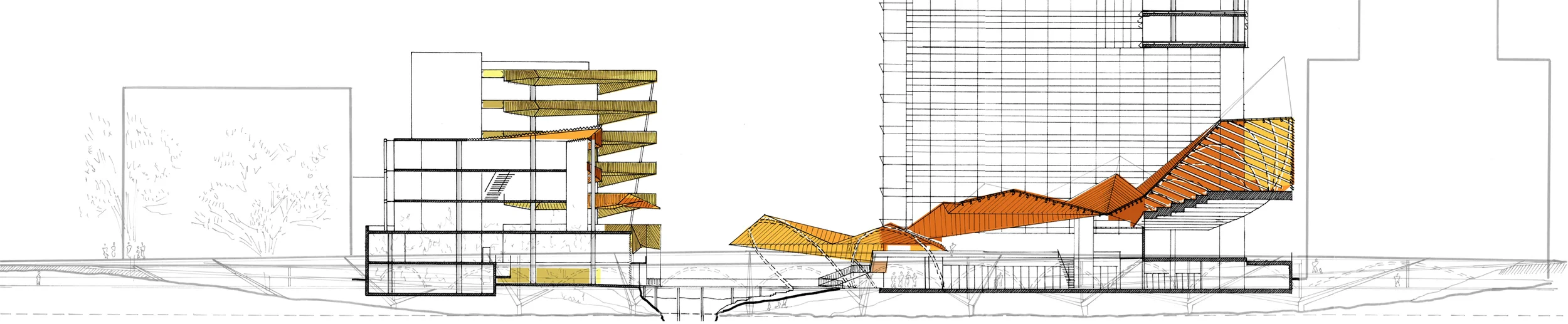 LongSection.jpg