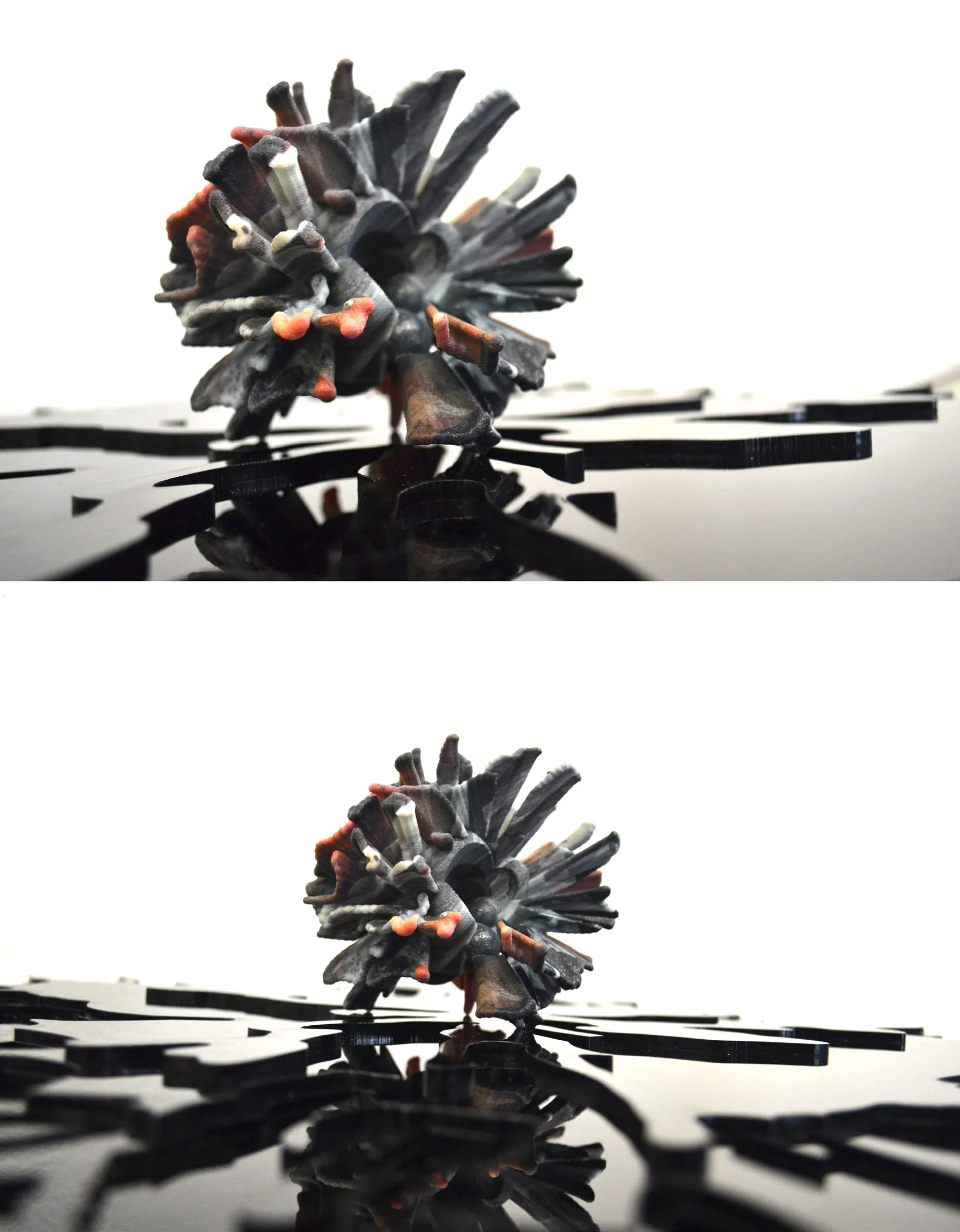 VS_Exact-3.jpg