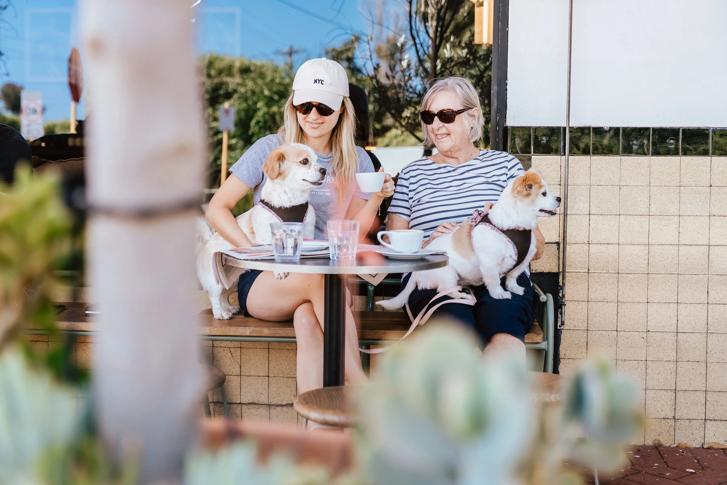 Willing Mt Lawley Feb 2026-8.jpg