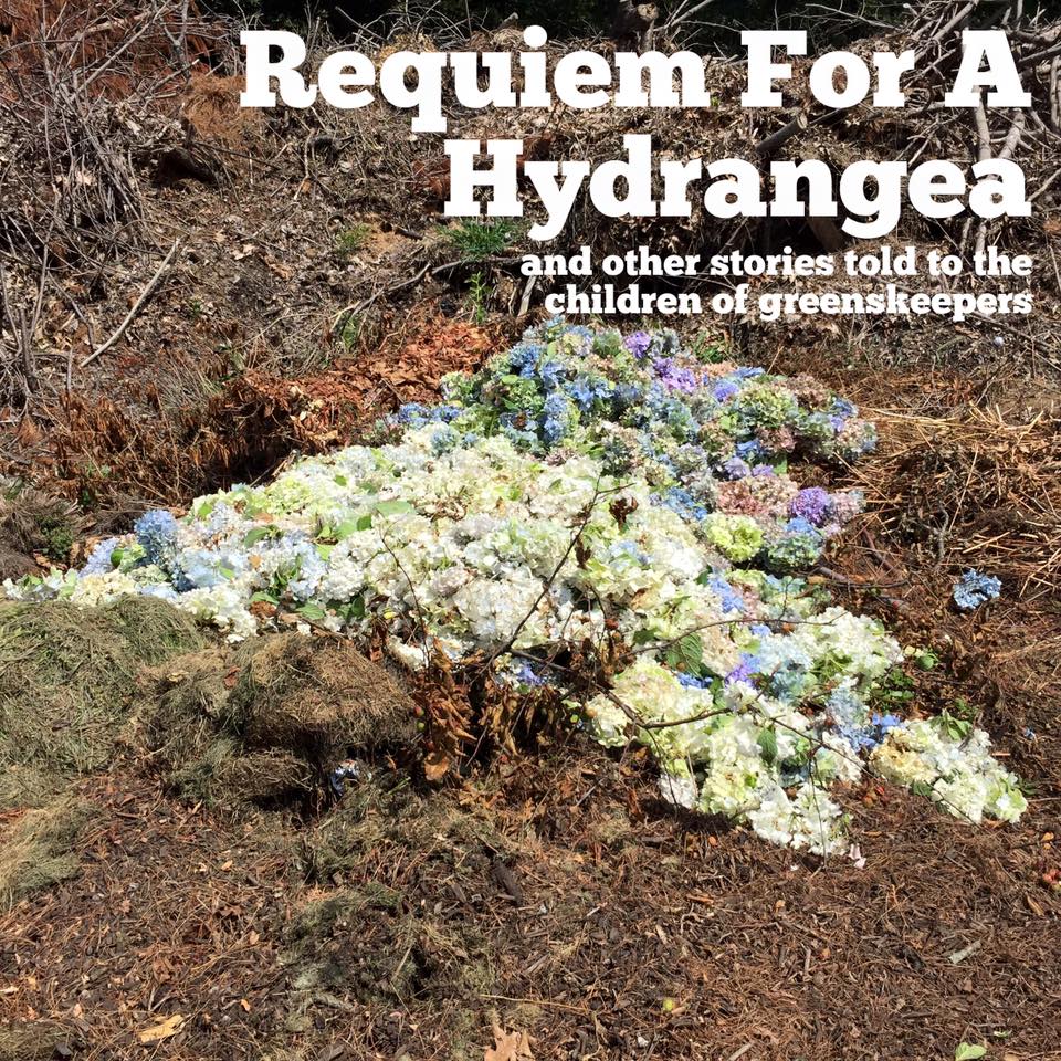 requiem-for-a-hydrangea.jpg