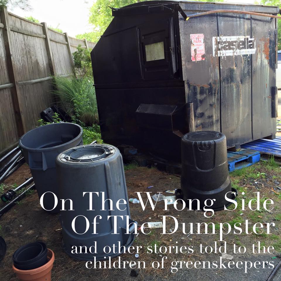 wrong-side-dumpster.jpg