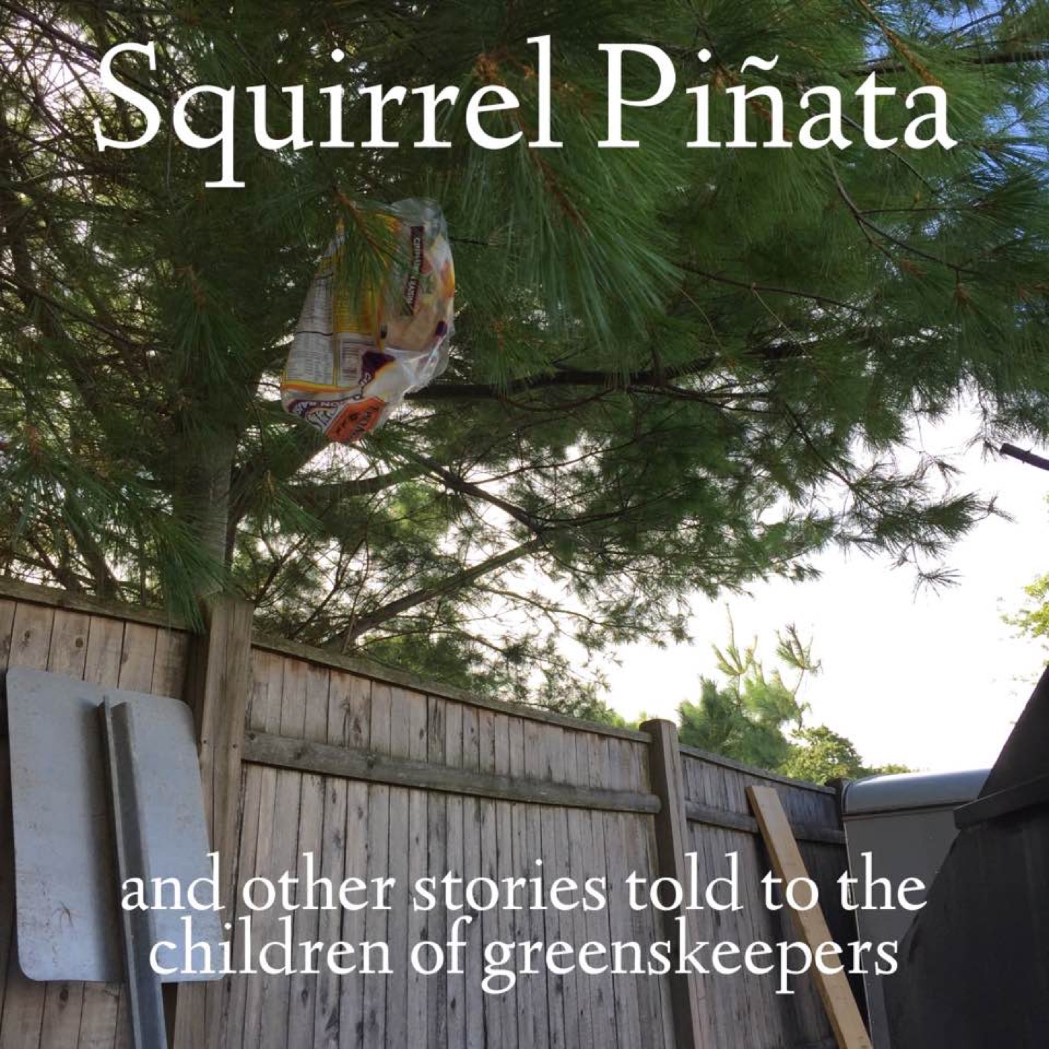 squirrel-pinata.jpg