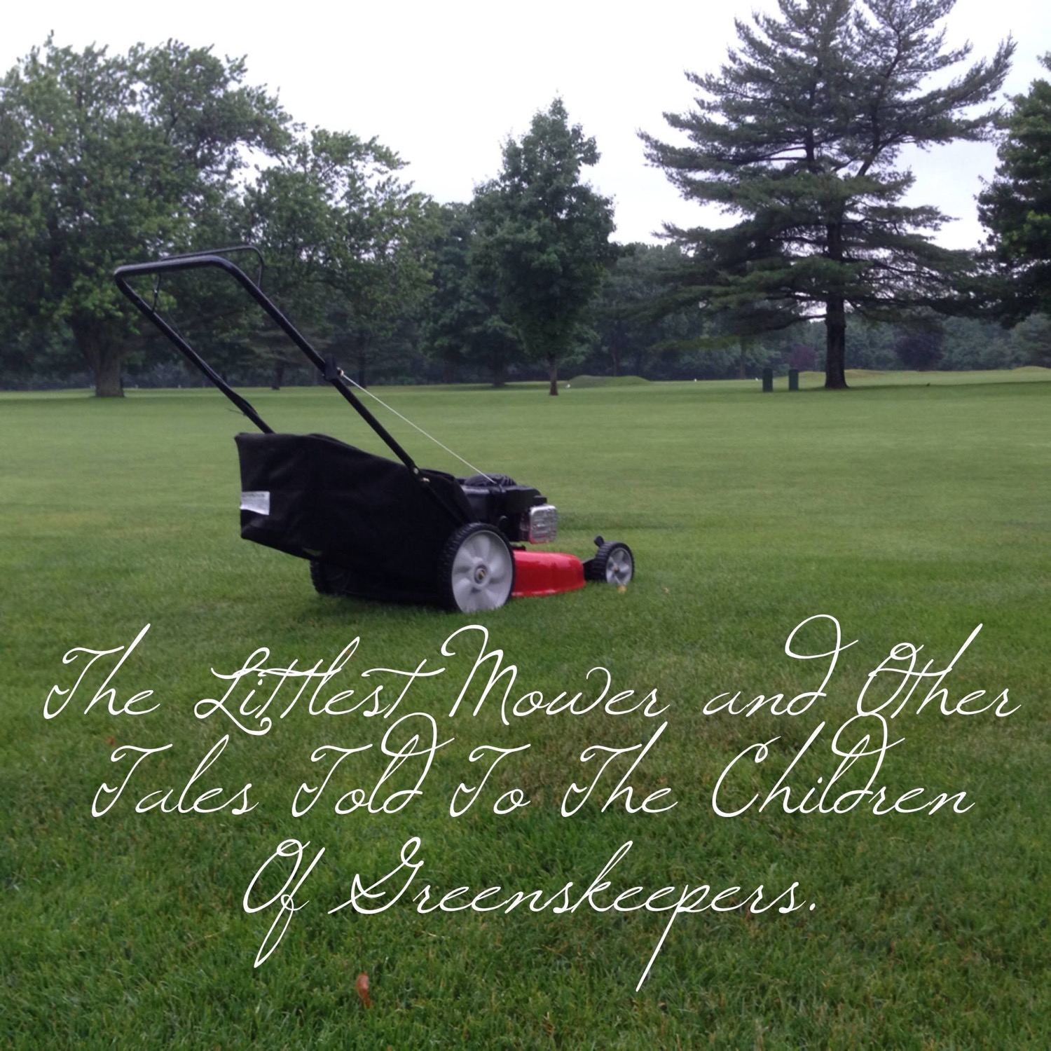 the-littlest-mower.JPG