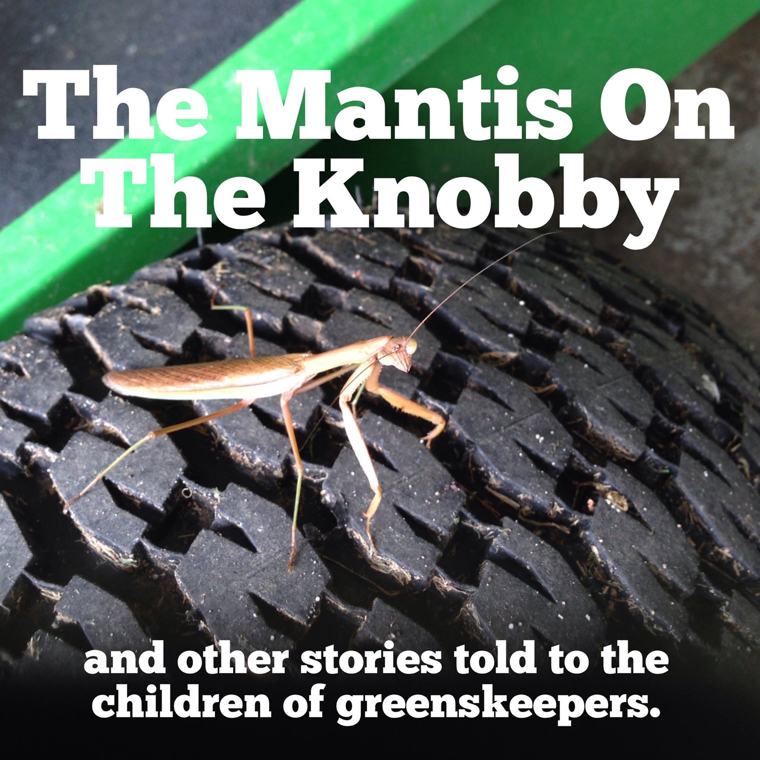 the-mantis-on.jpg