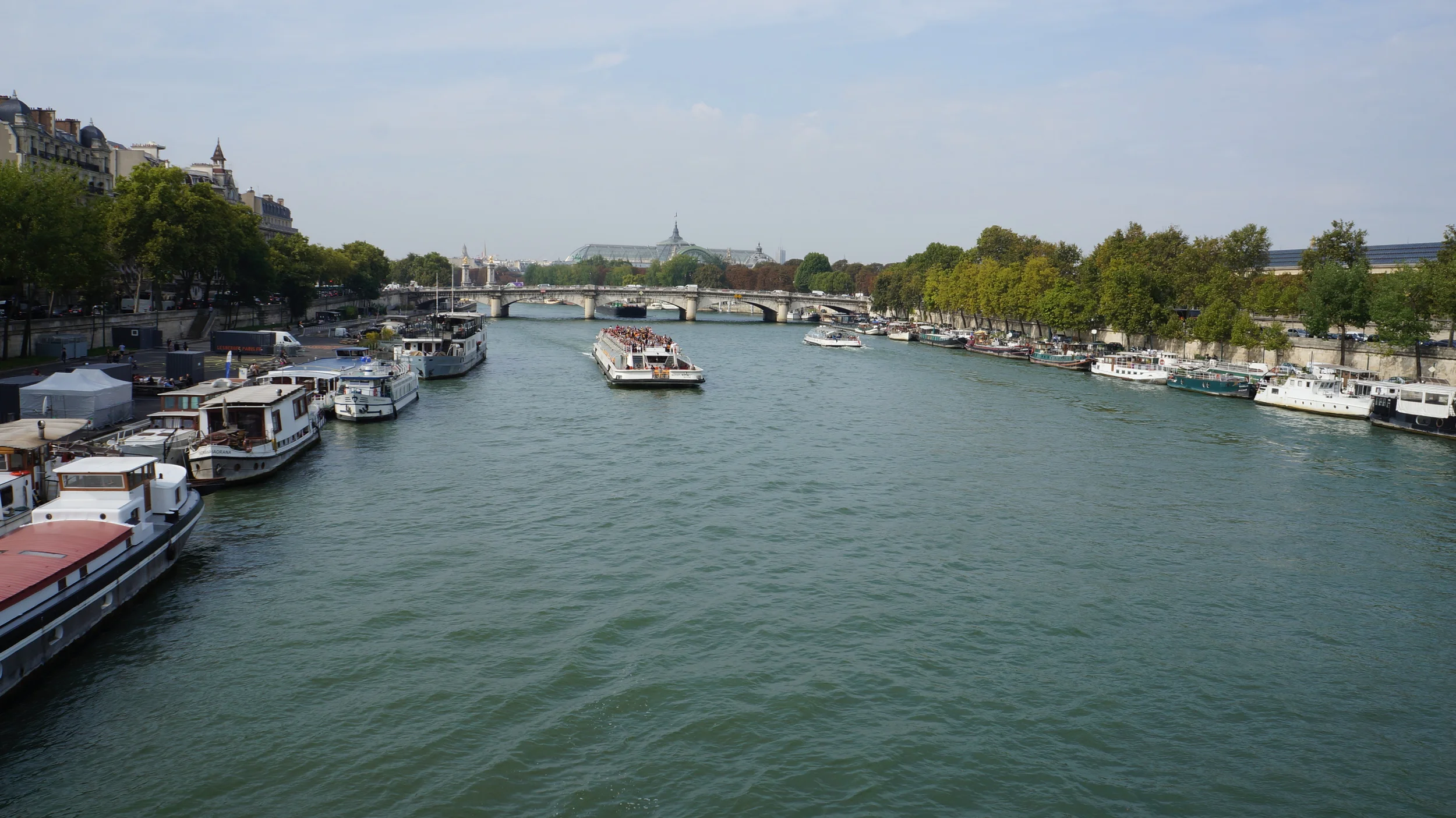 DSC01984.JPG
