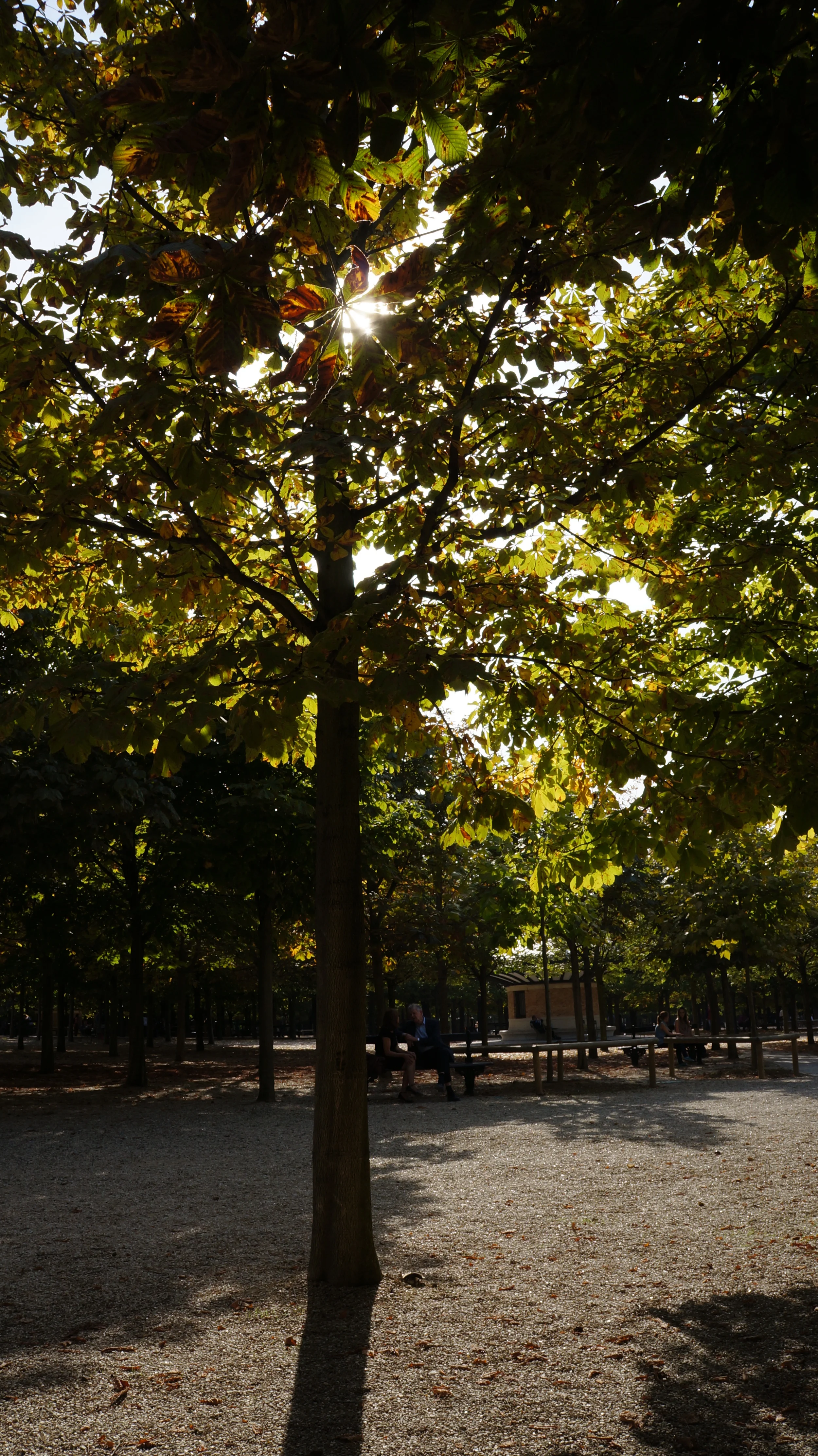 DSC02143.JPG