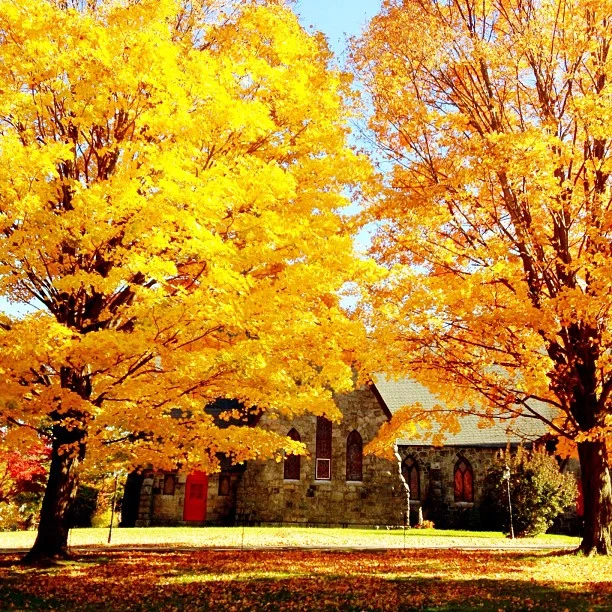 #fall #autumn #newyork #church #yellow