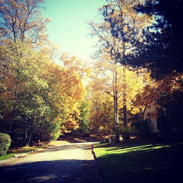 at Heritage Hills of Westchester