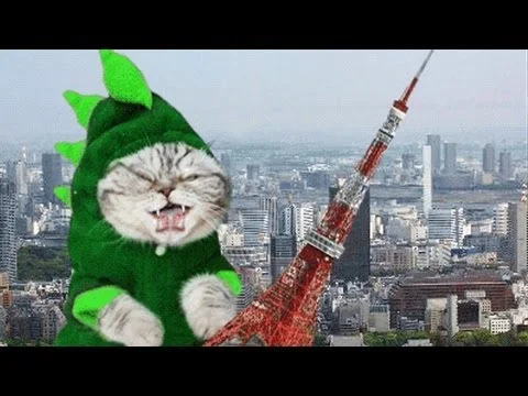 A Short History of the Animated GIF
Kasia Cieplak-Mayr von Baldegg, theatlantic.com
PBS’s Off Book web series inves­ti­gates the evo­lu­tion of the Inter­net’s favorite meme-making medi­um, the Graph­ics Inter­change For­mat, intro­duced…