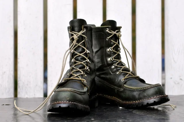 anchordivision:

Redwings