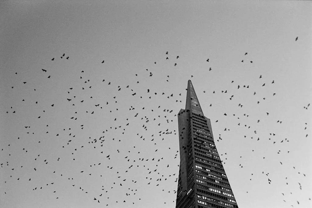 20121214_M6_17-Edit_small.jpg