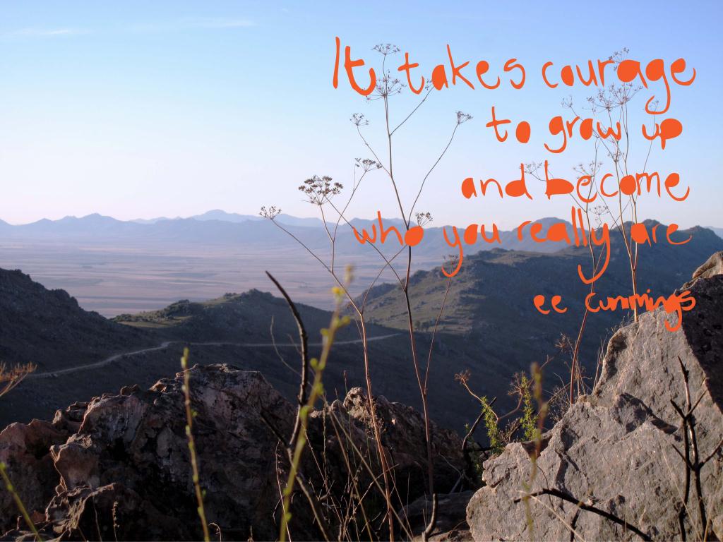 It takes courage to grow up and become who you really are - ee Cummings (Dwarsklip Pass)