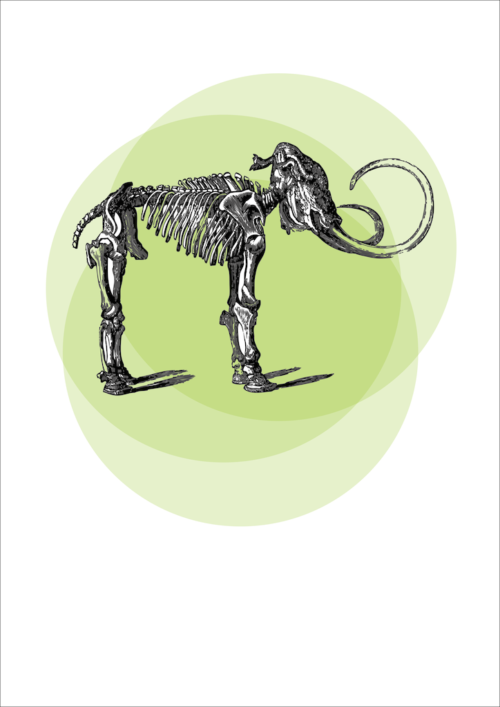 Curious Animals - Mammoth (Designed Keri Muller)