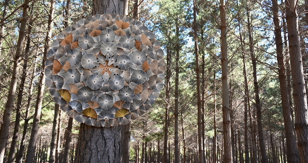 The Angle of Repose Made by Keri Muller - Back to the Forest. We came full circle