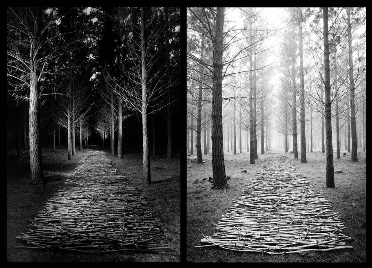 Dead Wood Road