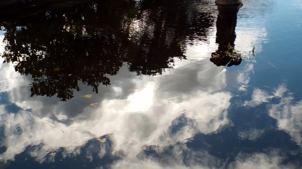 Pond