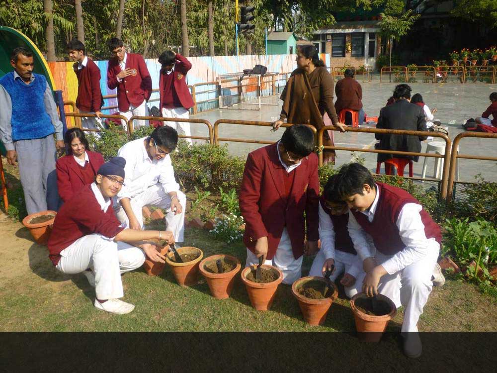 Planting a sapling