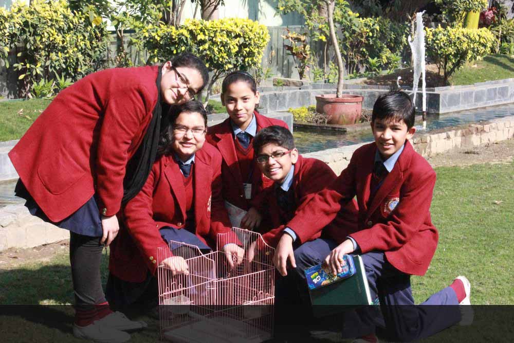 Bird Release