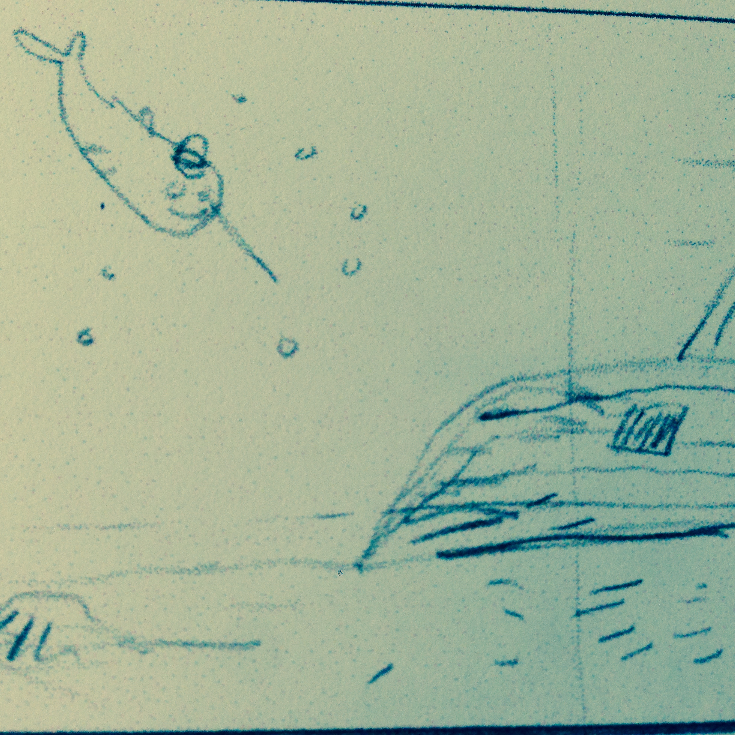 At first, our little Beluga was a narwhal. Get this—Belugas are related to Narwhals. The things you learn working on a picture book. 
