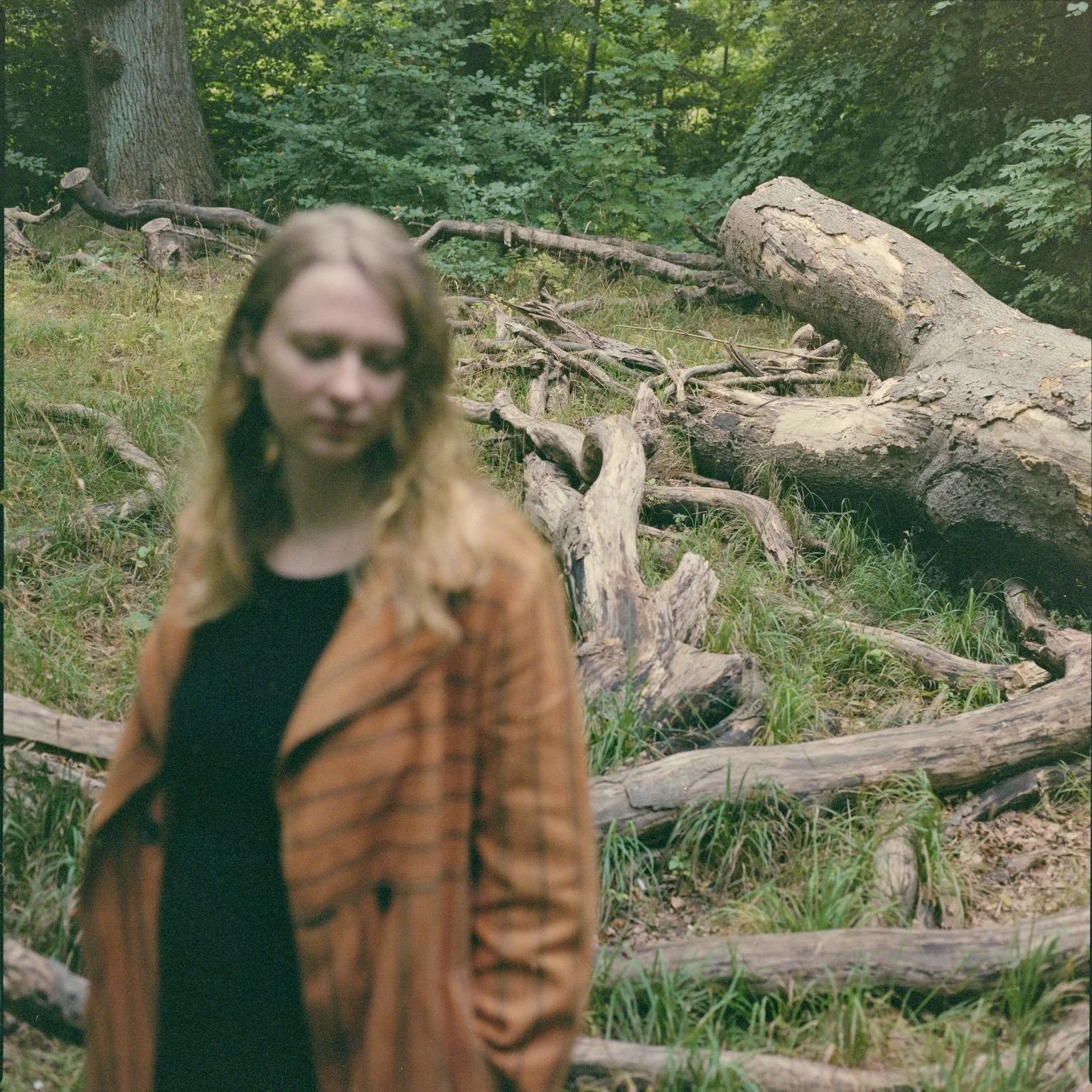 ingrid-nymo-kronstorks.jpg
