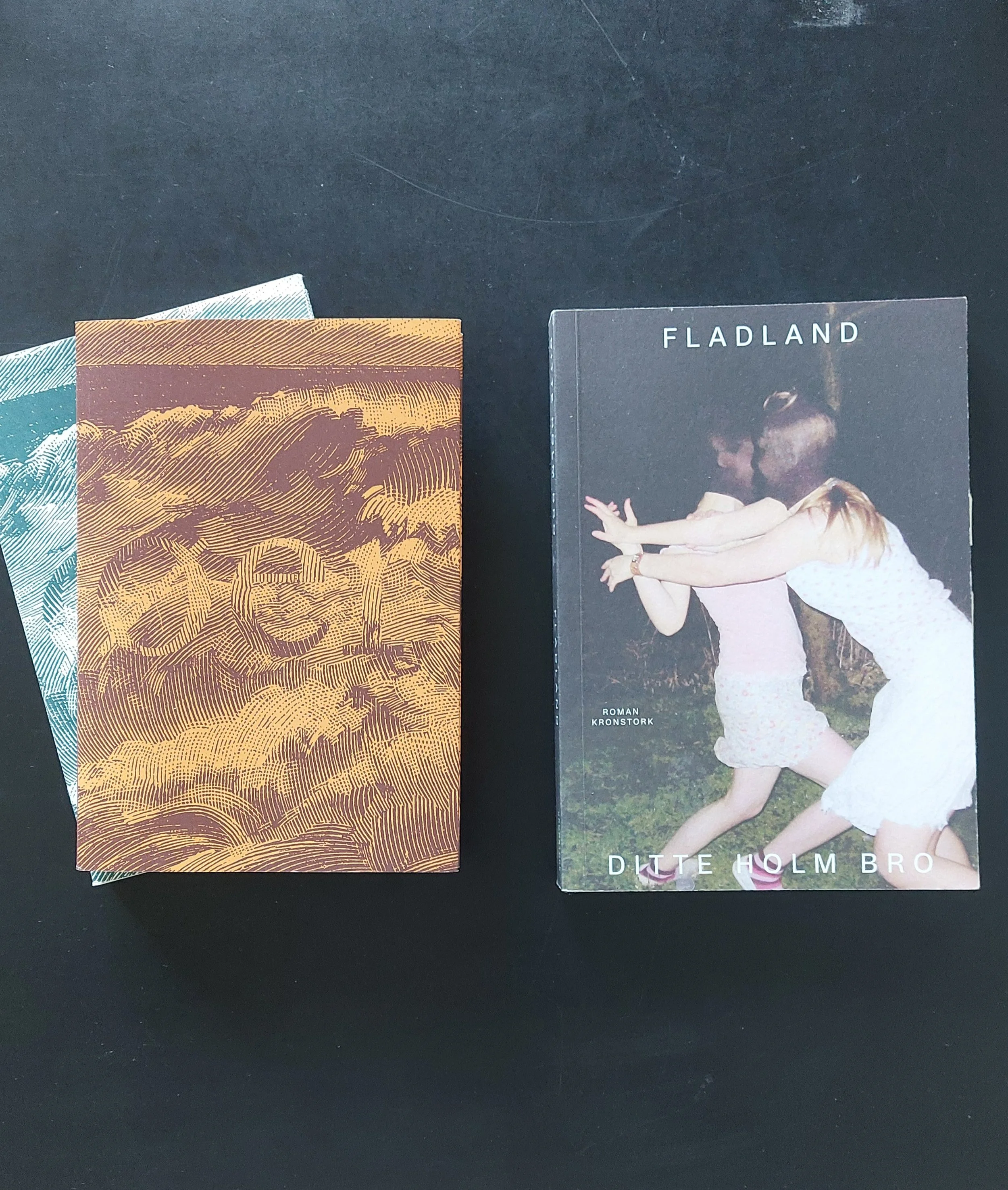 øer og fladland.jpg