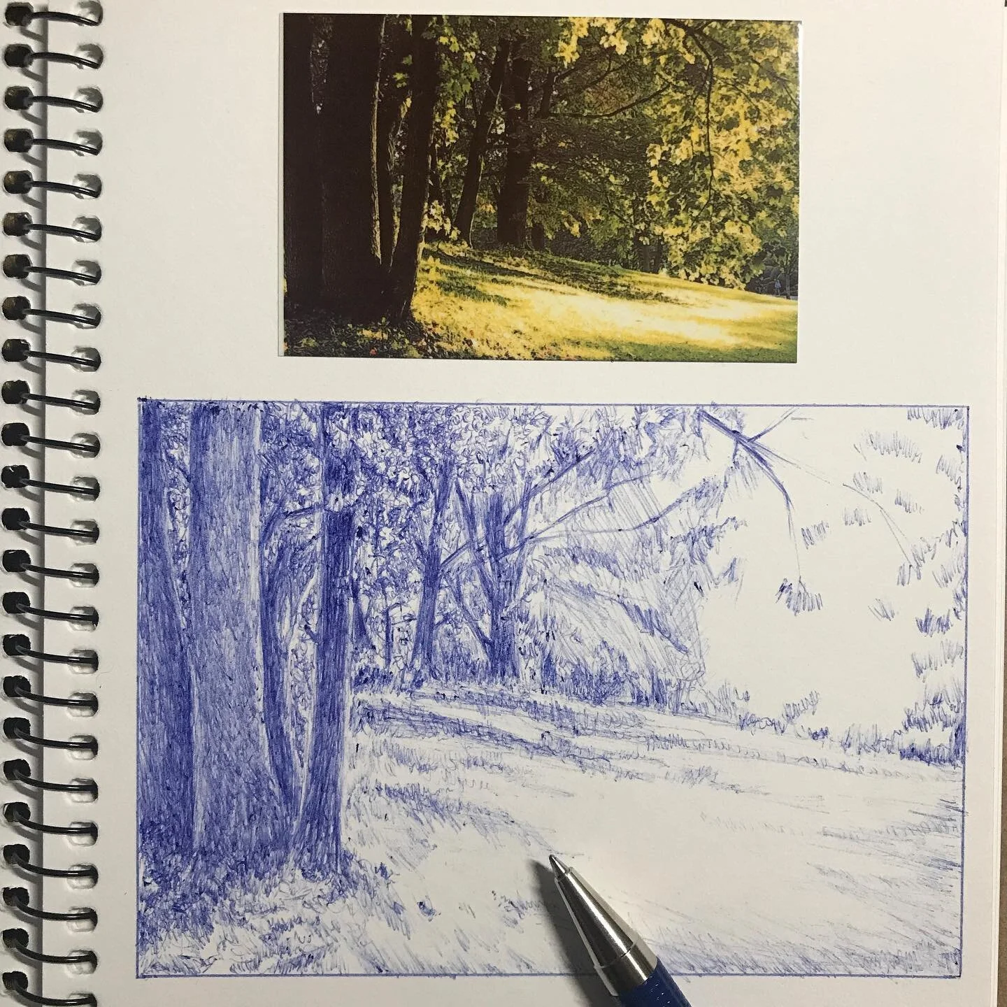 051921: unfinished.
Taking a break from faces to explore landscape textures.
Complete Beginner Mindset.
(Photo for inspiration, not replication.)
....
#wip #zen #drawnature
#woods #inspiration
#gototheparkanddraw
#ballpointpen #sketcheveryday