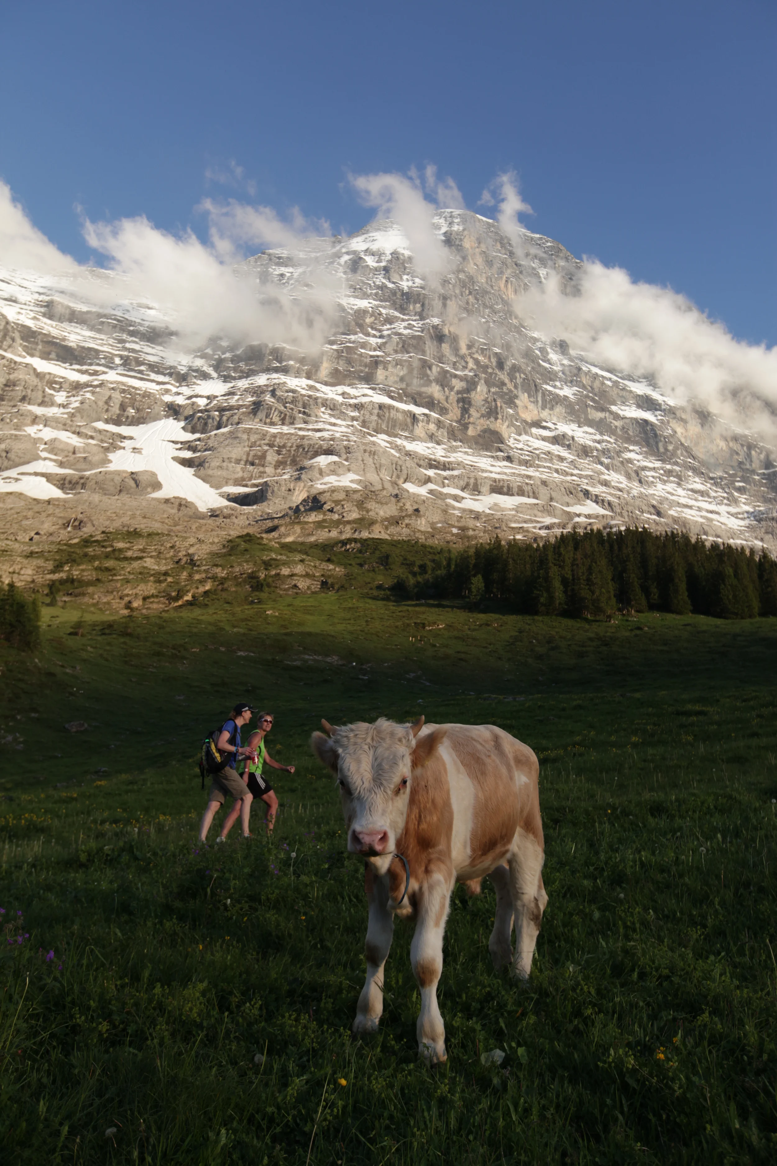 Swissman Extreme Triathlon