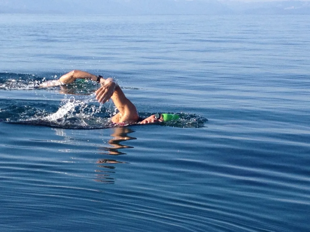 I have launched a facebook site for the welligton coastline sea swim series - link above