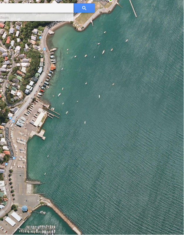 Hataitai Beach.png