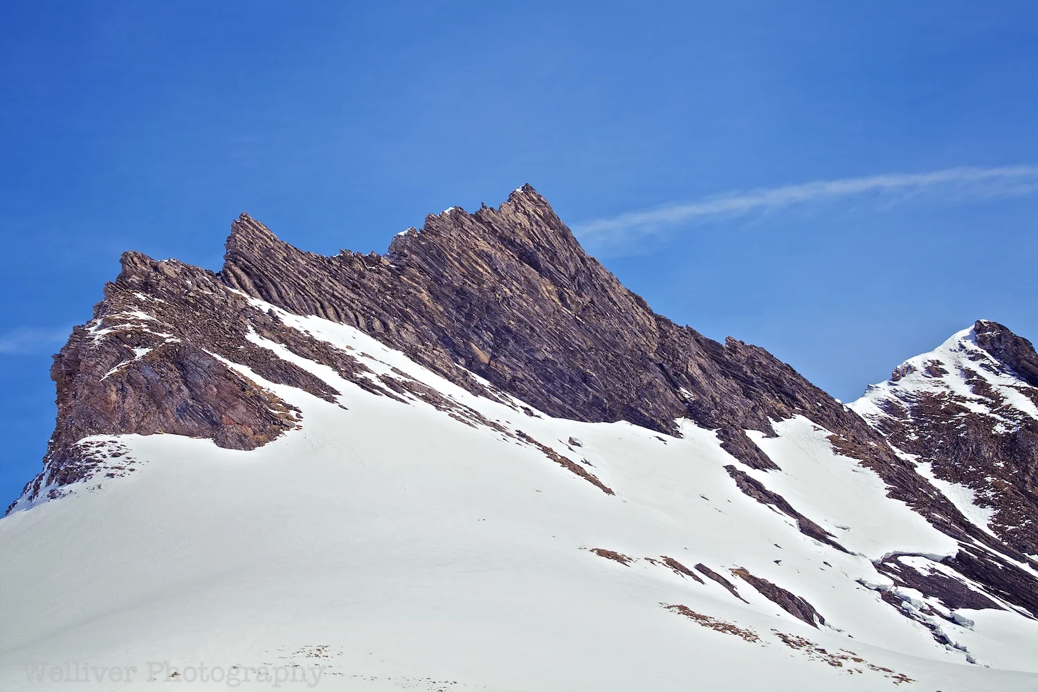 EOS5DMII-TMW-20120312-IMG_2874.jpg