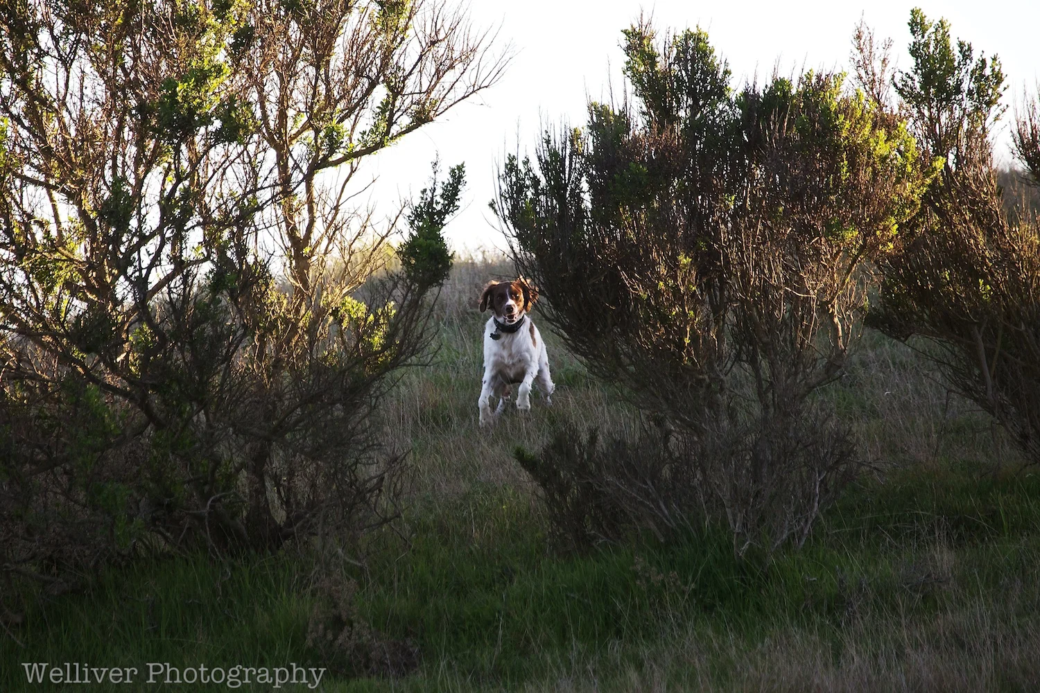 EOS5DMKII-TMW-20130226-IMG_8747.jpg