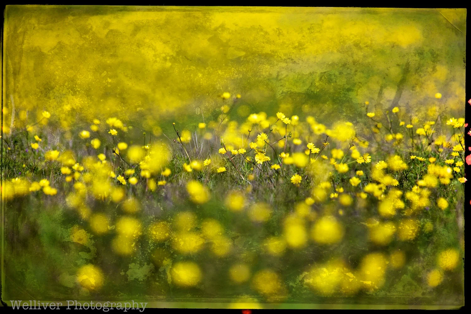 EOS5DMKII-TMW-20130323-IMG_9073.jpg