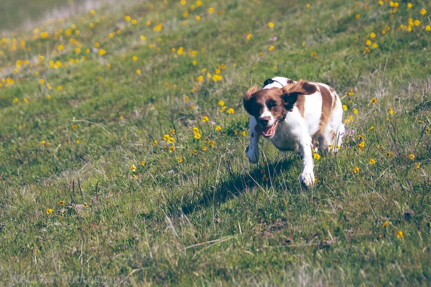 EOS5DMKII-TMW-20130323-IMG_9092.jpg