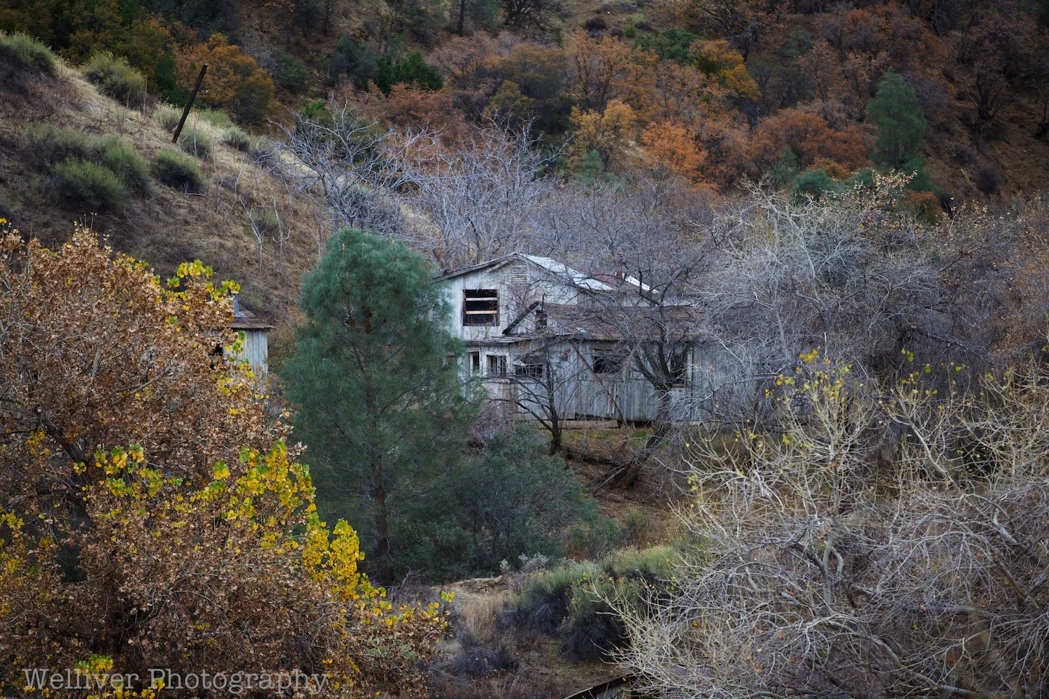 EOS5DMII-TMW-20120102-IMG_1768.jpg