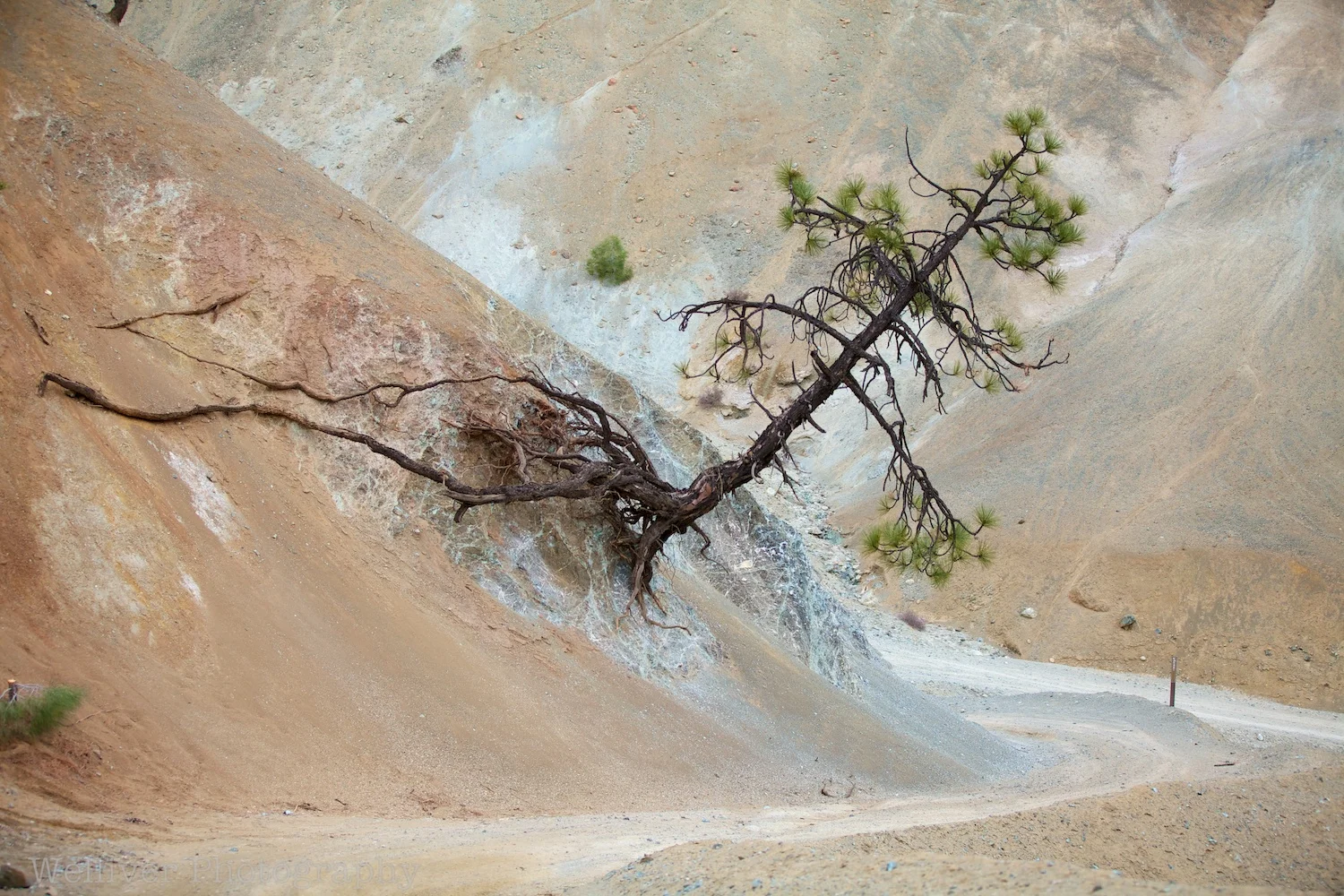 EOS5DMII-TMW-20120102-IMG_1746 - Version 2.jpg