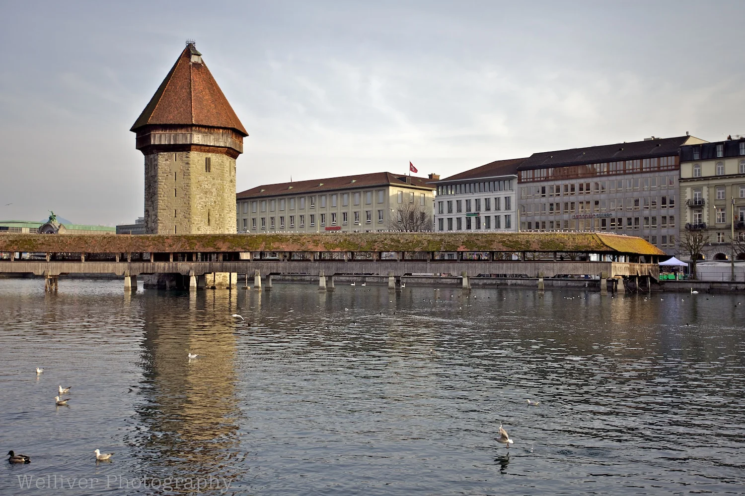 EOS5DMII-TMW-20120307-IMG_1971.jpg
