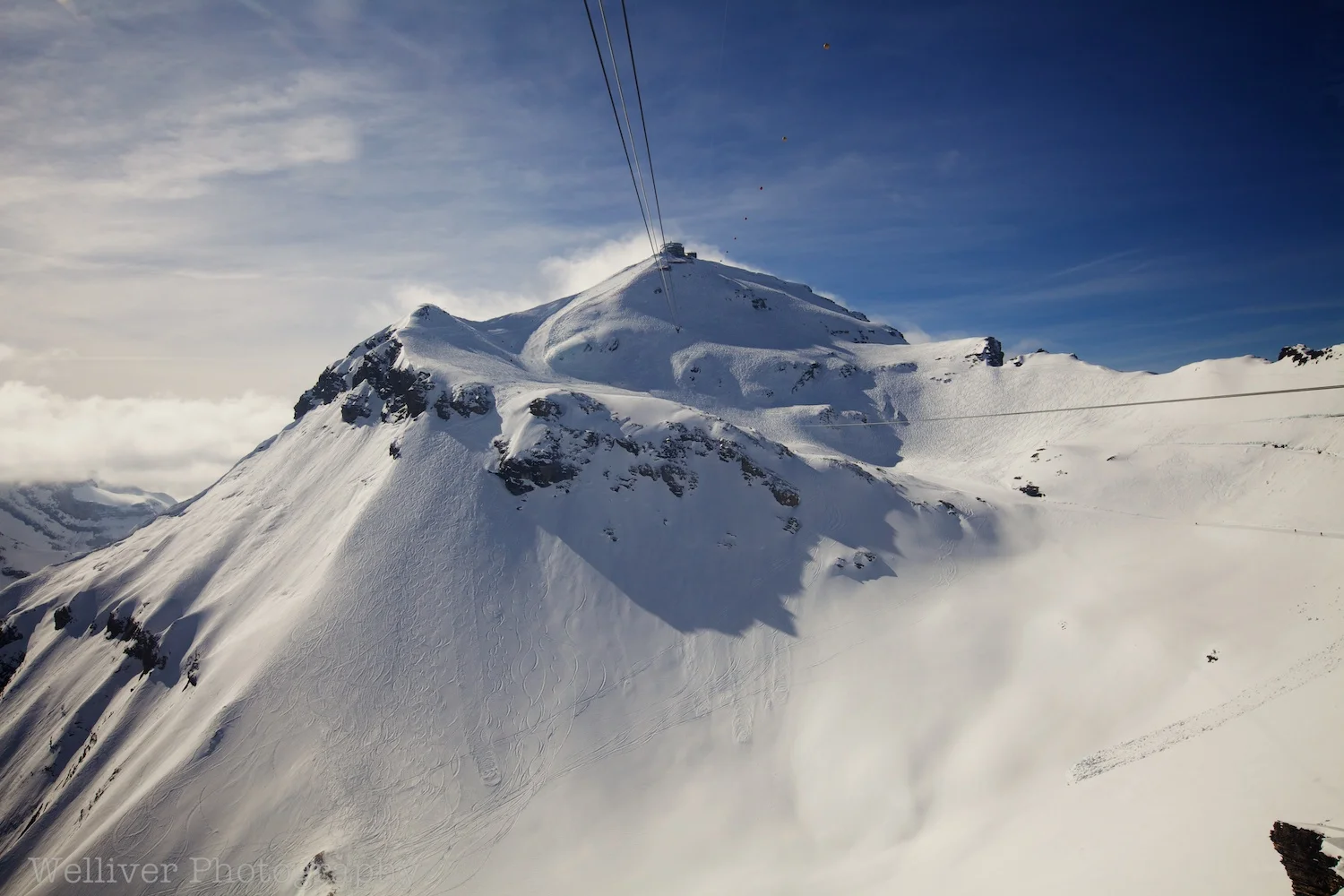 EOS5DMII-TMW-20120311-IMG_2725.jpg