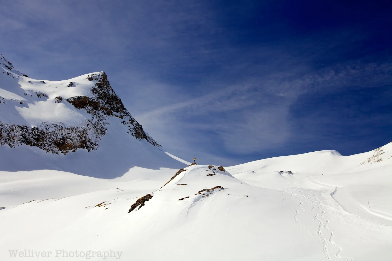 EOS5DMII-TMW-20120312-IMG_2870.jpg