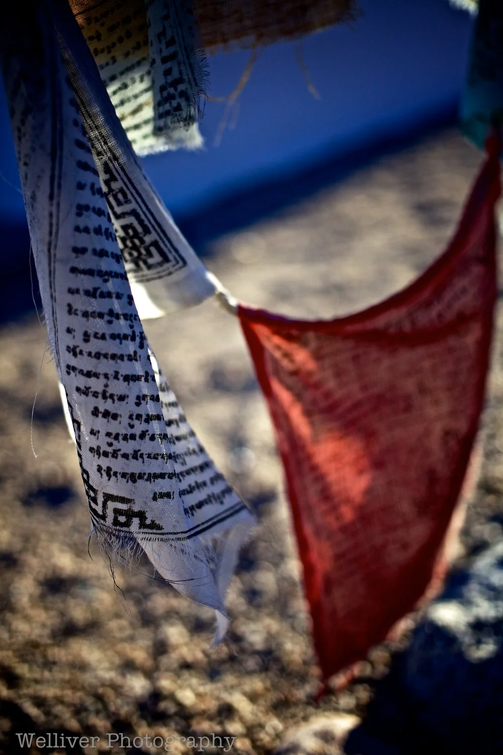 EOS5DMII-TMW-20121122-IMG_7088.jpg