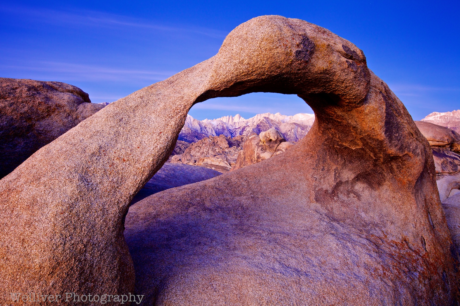 EOS5DMII-TMW-20121123-IMG_7182 - Version 3.jpg