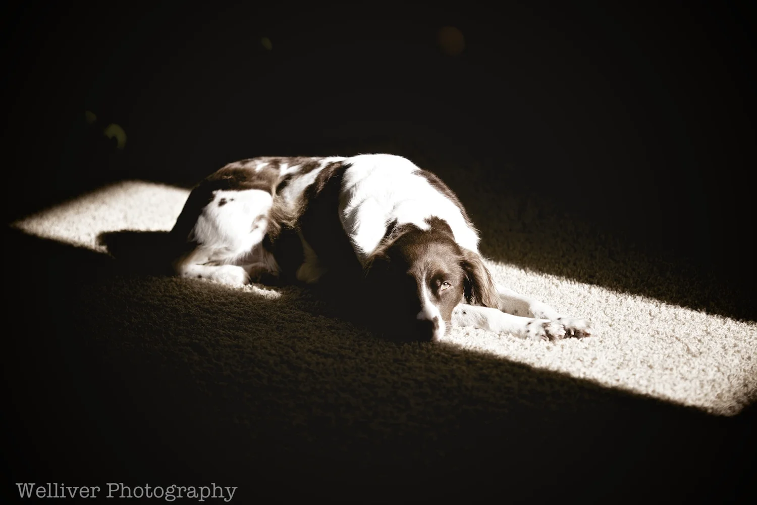 EOS5DMII-TMW-20121230-IMG_5132 - Version 2.jpg