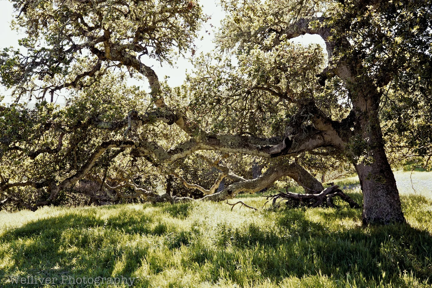 EOS5DMKII-TMW-20130414-IMG_9573.jpg