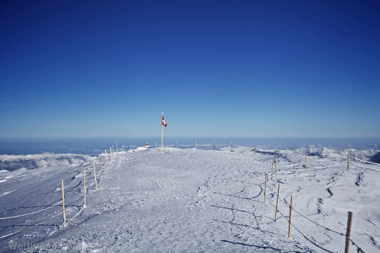 EOS5DMII-TMW-20120309-IMG_2202.jpg