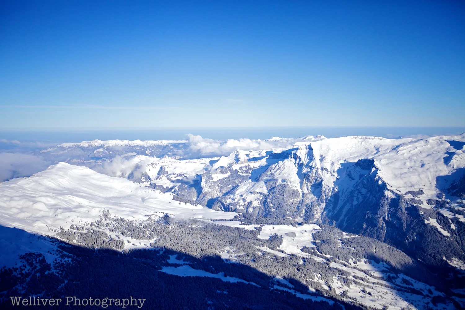 EOS5DMII-TMW-20120308-IMG_2172.jpg