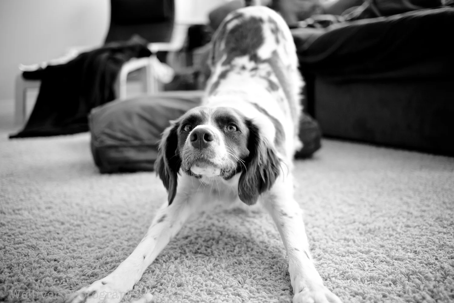 EOS5DMKII-TMW-20130518-IMG_0673.jpg