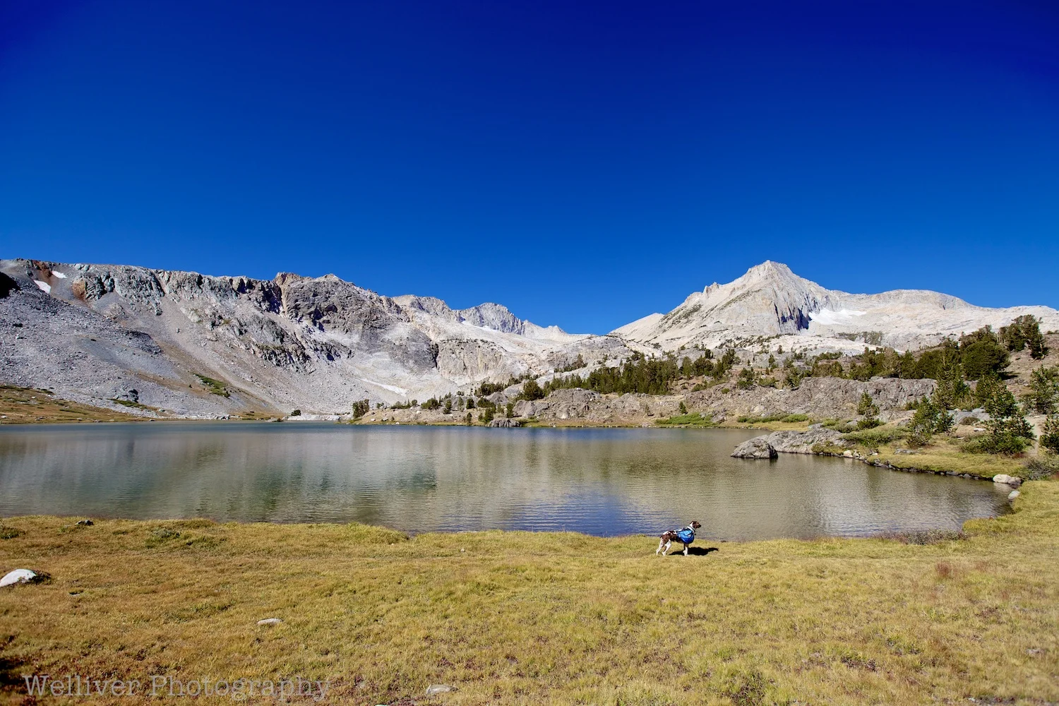 EOS5DMII-TMW-20120901-IMG_5620.jpg
