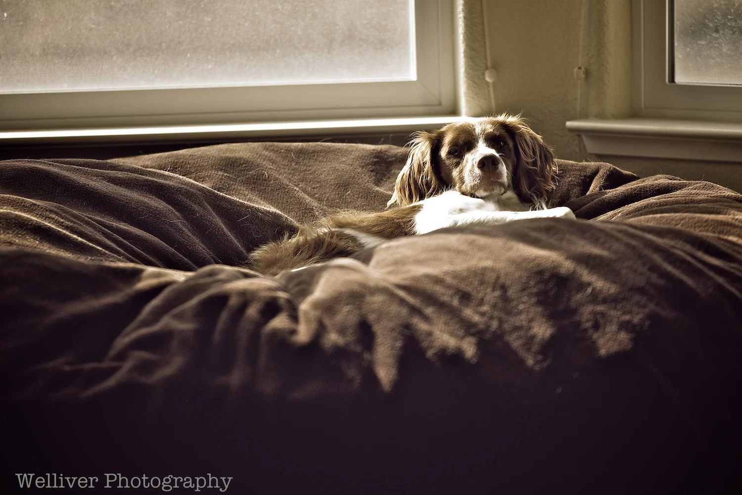 EOS5DMKII-TMW-20130902-IMG_3395.jpg