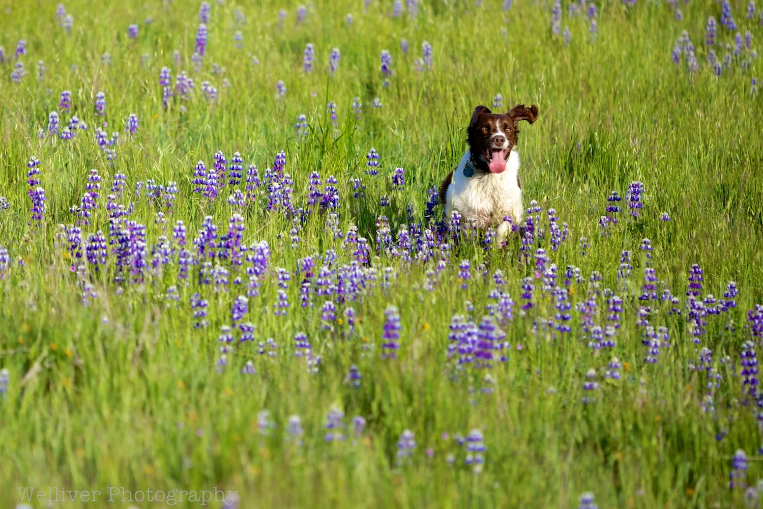 EOS5DMKII-TMW-20130406-IMG_9426.jpg